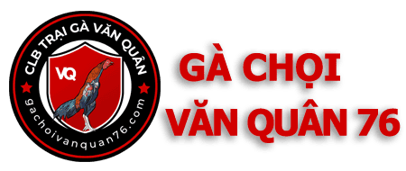 CLB Gà Chọi Văn Quân 76